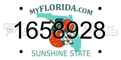1658928 Florida License Plate