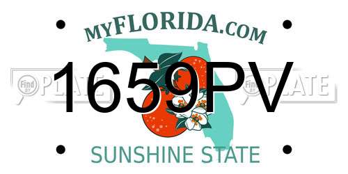 1659PV Florida License Plate