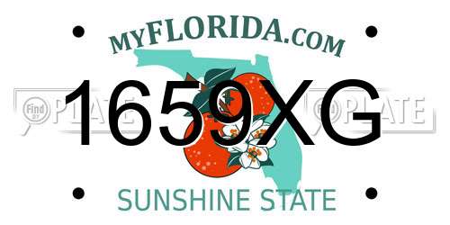 1659XG Florida License Plate