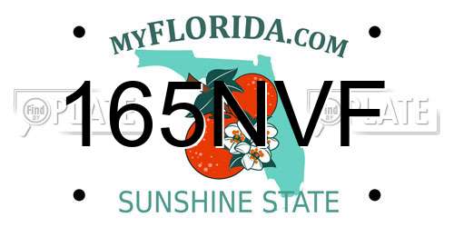 165NVF Florida License Plate