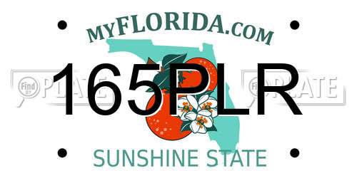 165PLR Florida License Plate