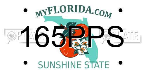 165PPS Florida License Plate