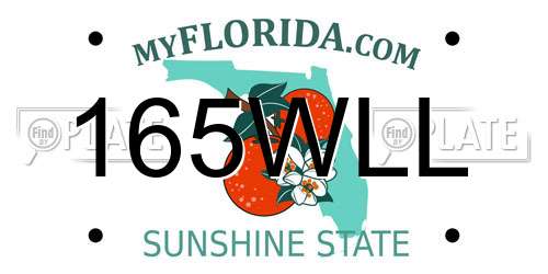 165WLL Florida License Plate