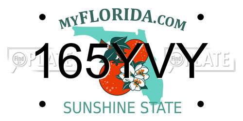 165YVY Florida License Plate