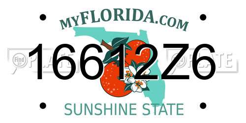 16612Z6 Florida License Plate