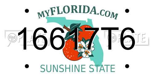 16617T6 Florida License Plate