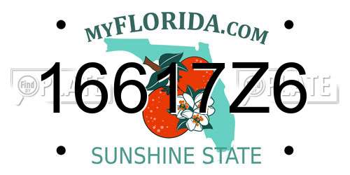 16617Z6 Florida License Plate
