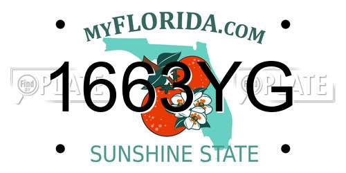 1663YG Florida License Plate