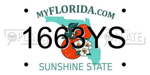 1663YS Florida License Plate