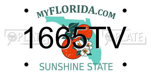 1665TV Florida License Plate