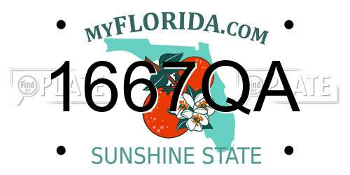 1667QA Florida License Plate