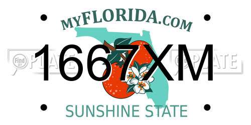 1667XM Florida License Plate