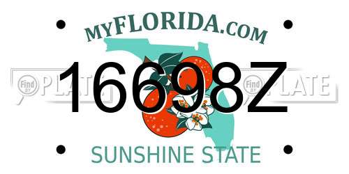 16698Z Florida License Plate