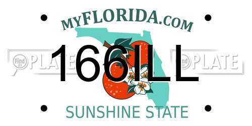 166ILL Florida License Plate