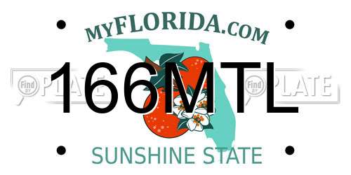 166MTL Florida License Plate