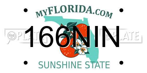 166NIN Florida License Plate