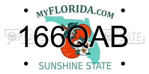 166QAB Florida License Plate