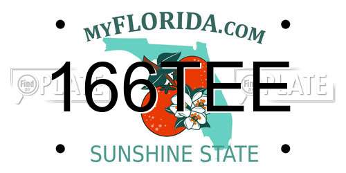 166TEE Florida License Plate