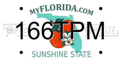 166TPM Florida License Plate