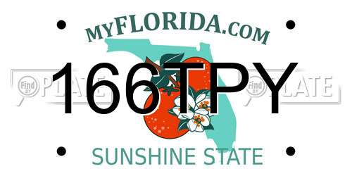 166TPY Florida License Plate