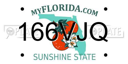 166VJQ Florida License Plate