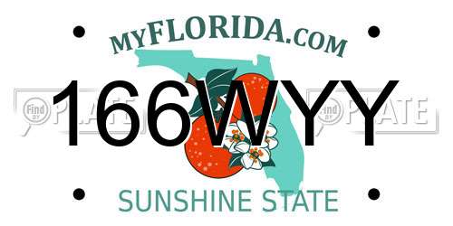 166WYY Florida License Plate
