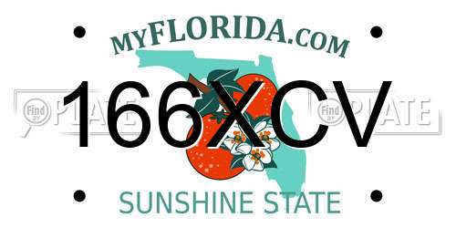 166XCV Florida License Plate