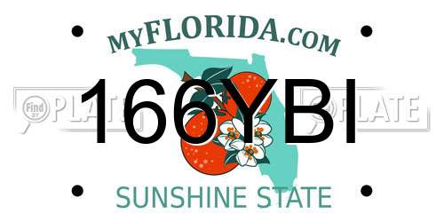 166YBI Florida License Plate
