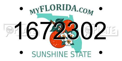 1672302 Florida License Plate