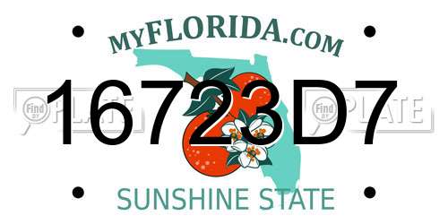 16723D7 Florida License Plate