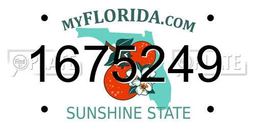 1675249 Florida License Plate