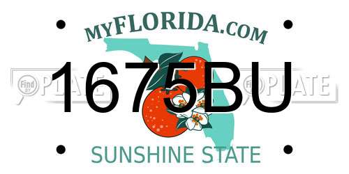 1675BU Florida License Plate