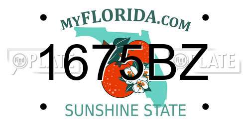 1675BZ Florida License Plate