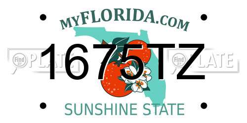 1675TZ Florida License Plate