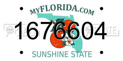 1676604 Florida License Plate