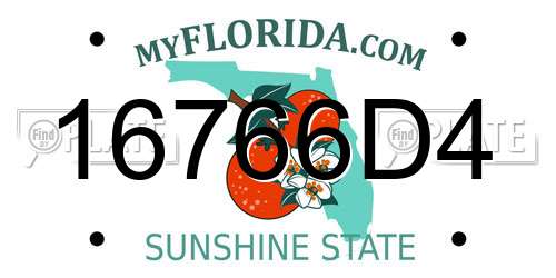16766D4 Florida License Plate