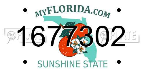 1677302 Florida License Plate