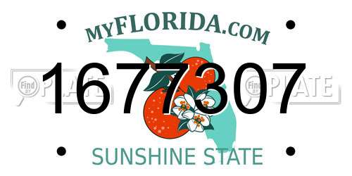 1677307 Florida License Plate