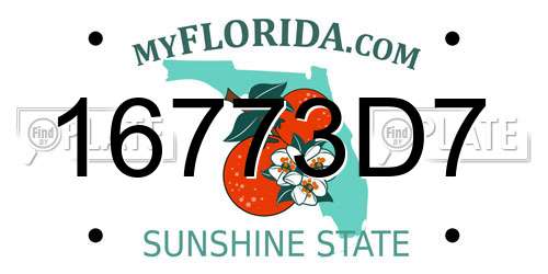 16773D7 Florida License Plate