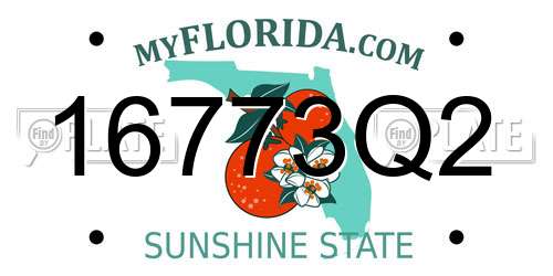 16773Q2 Florida License Plate