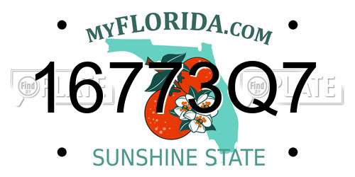 16773Q7 Florida License Plate