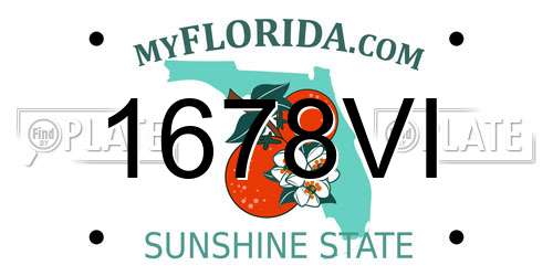 1678VI Florida License Plate