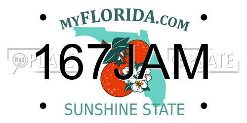 167JAM Florida License Plate