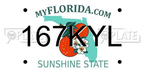167KYL Florida License Plate