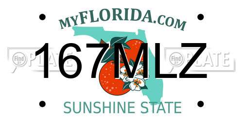167MLZ Florida License Plate