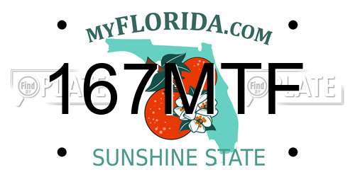 167MTF Florida License Plate