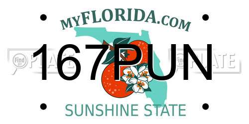 167PUN Florida License Plate