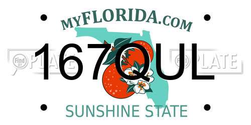 167QUL Florida License Plate