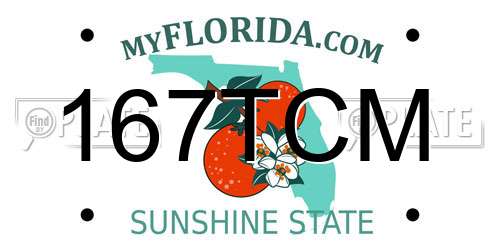 167TCM Florida License Plate