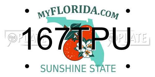 167TPU Florida License Plate